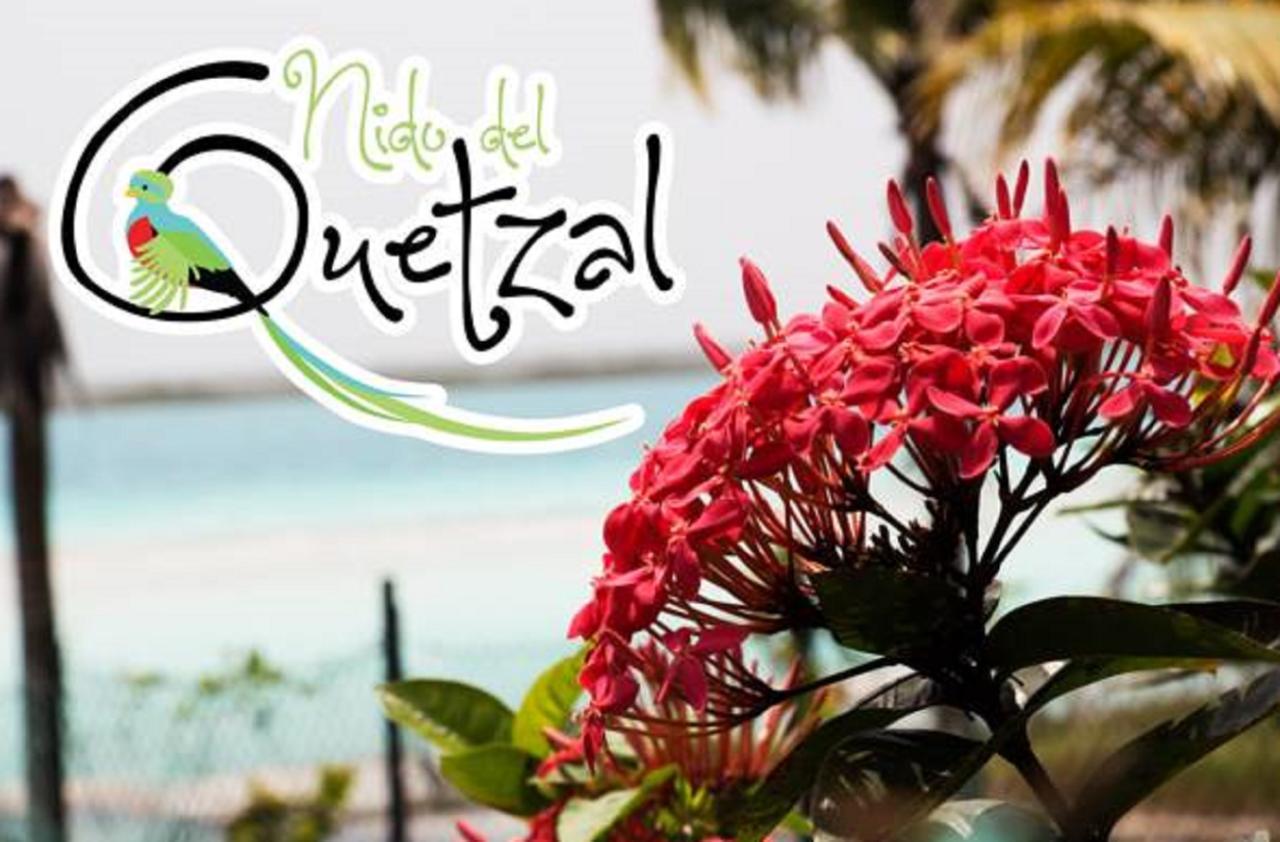 Nido Del Quetzal Hotell Bacalar Exteriör bild